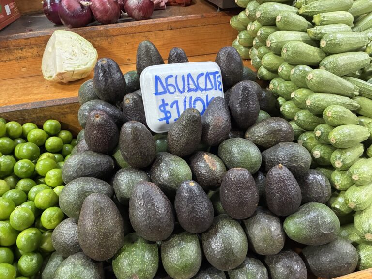 Aguacate precio