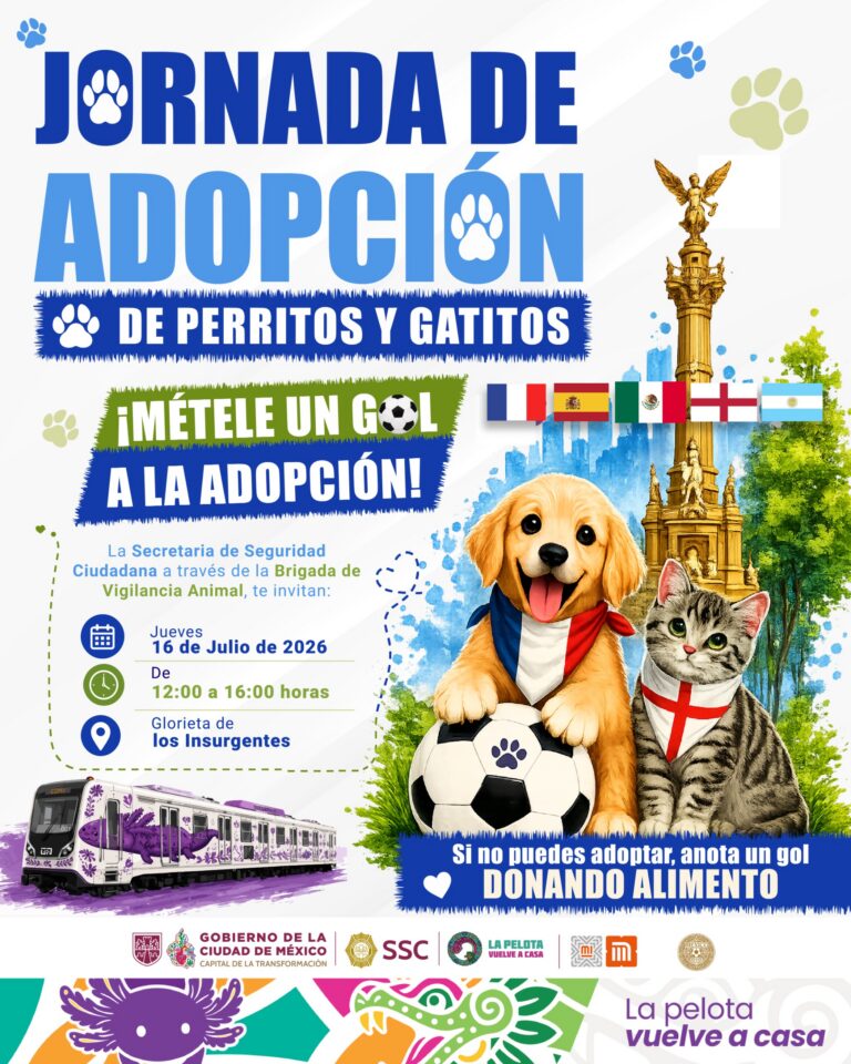 El Metro y la SSC organizan jornada de adopción de perros y gatos