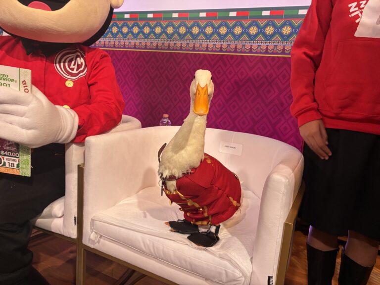 Pato Merlín