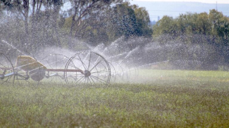 Conagua inicia regularización de concesiones de agua para usuarios con títulos vencidos