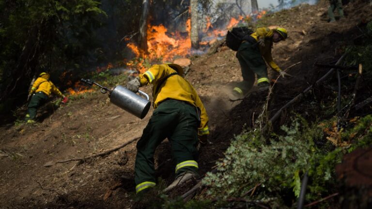 Conafor advierte temporada crítica de incendios forestales en 2027 por el “Super Niño”