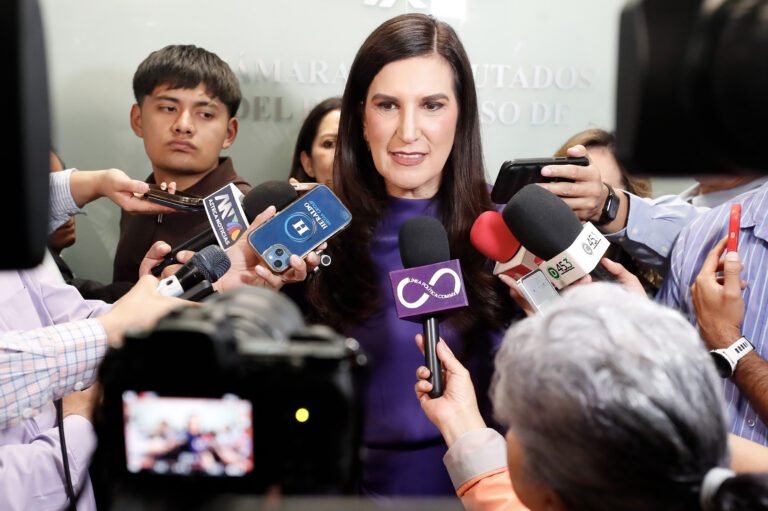 Implementación de ‘fracking’ debe ‘respetar’ el medio ambiente, exhorta López Rabadán