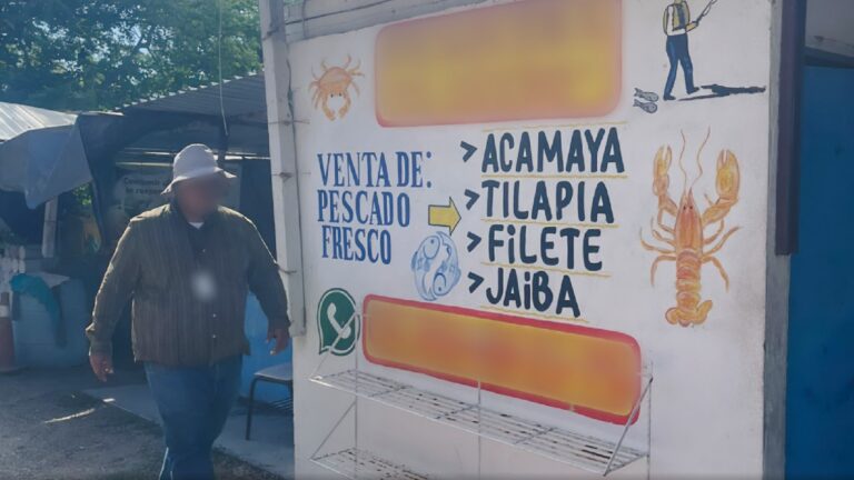 Profepa clausura negocio en Tamaulipas por venta ilegal de carne de cocodrilo