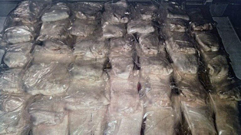 Condenan a traficante de totoaba a cuatro años de prisión y multa de 19 MDP